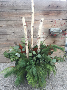 Winter Planter with Birch poles at Fleuristic Flowers Gift Shop Guelph