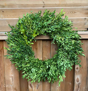 26" Fresh Boxwood Wreath